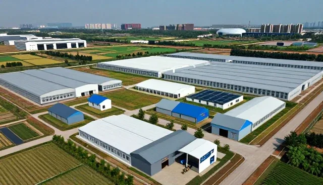 软件技术外包在业务发展中的趋势与实践